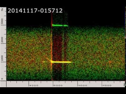 Double station meteor head echoes