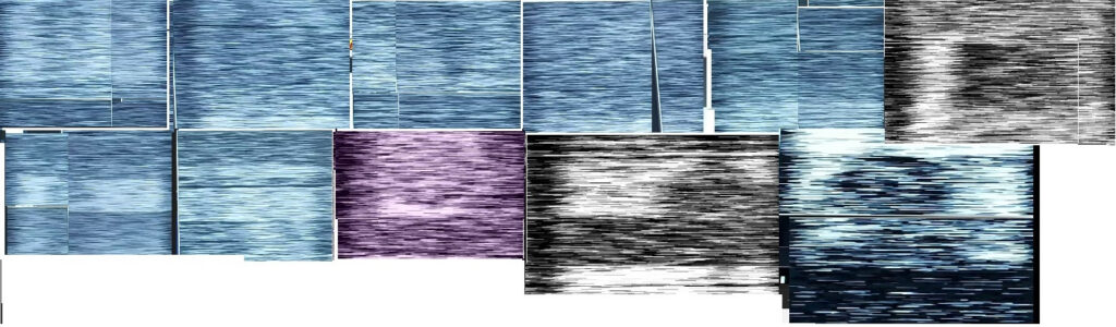 collage 2.jpg