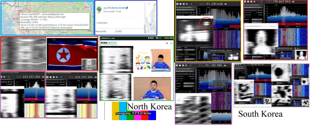 collage 2.jpg