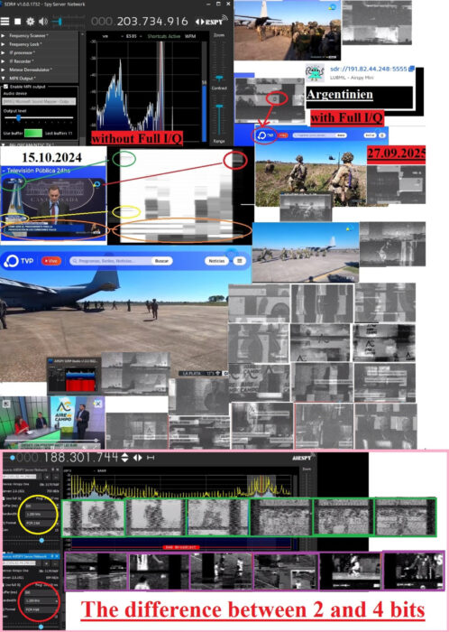 TVP Collage4.jpg